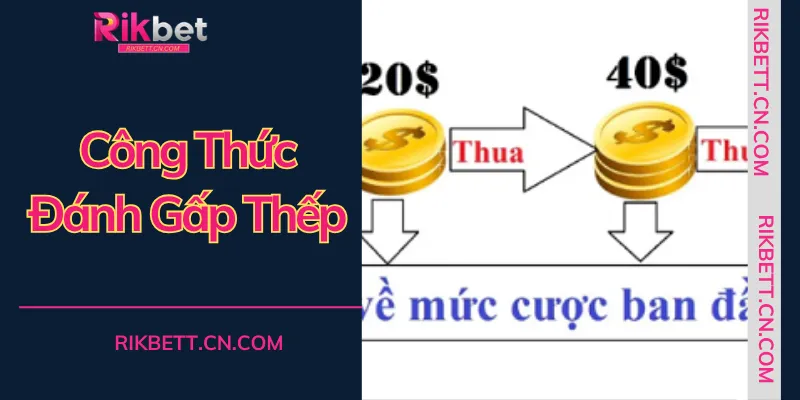 Áp dụng công thức đánh gấp thếp một cách khoa học để chinh phục mọi sảnh cược